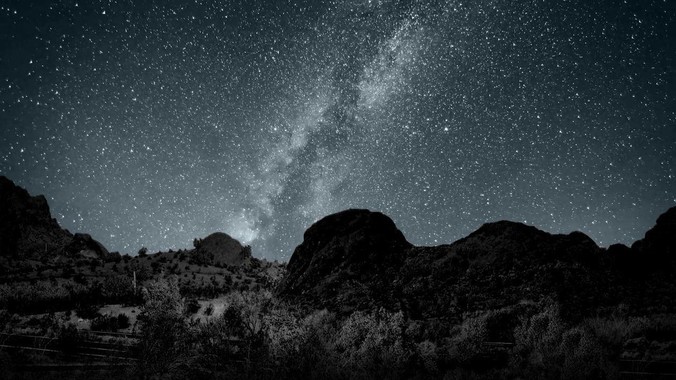 南京一森林公园现大量竹节虫，形似枯枝，网友称凑近才发现是虫子落荒而逃，竹节虫会不会咬人？碰到它会怎样？